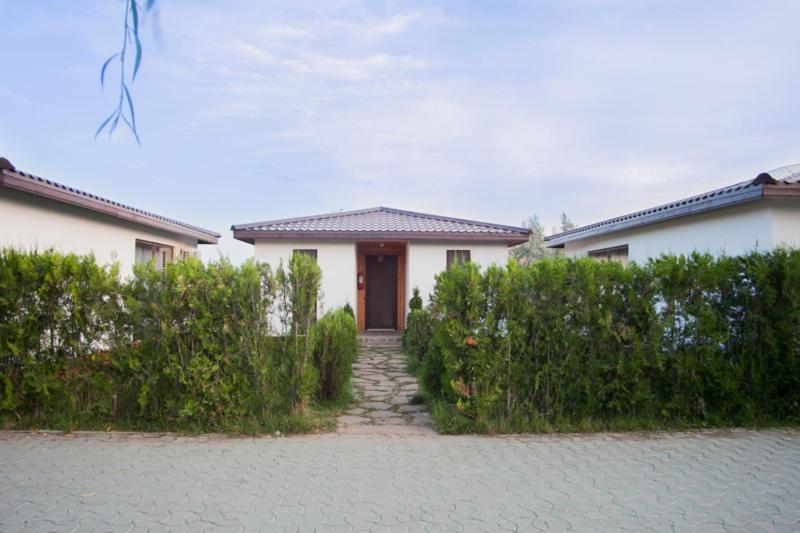 Marina Surf Hotell Năvodari Exteriör bild
